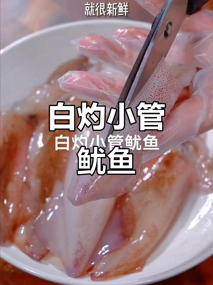新鲜小管鱿鱼白灼,鲜甜脆嫩,简单又美味
