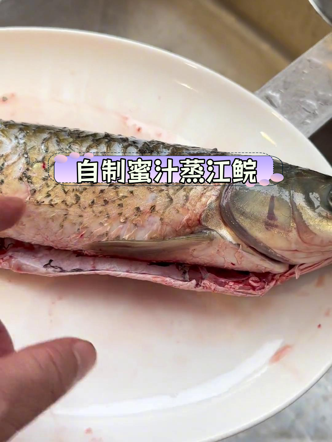 蜜汁黑橄榄蒸江鲩,开鱼季的鲜美滋味