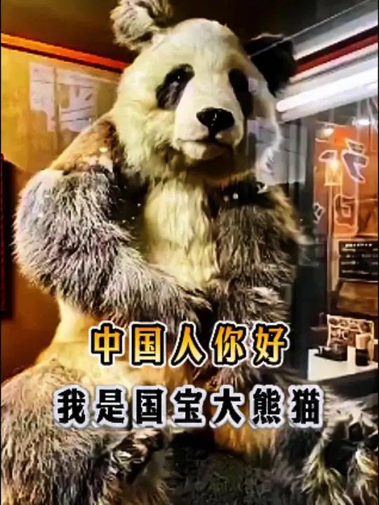 国外这八只大熊猫，永远的离开了我们！