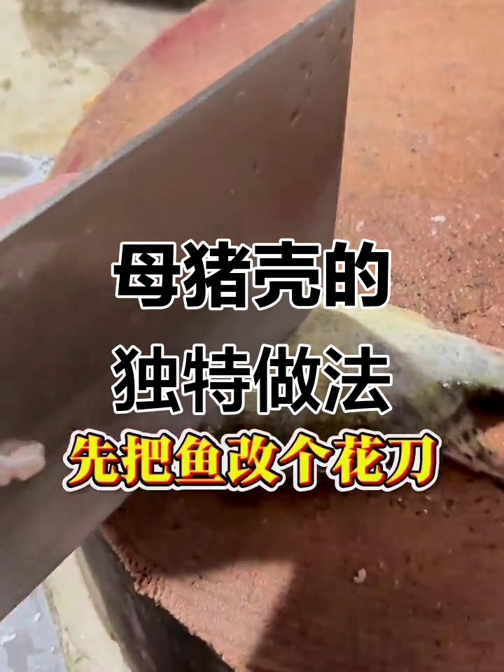 绵阳的朋友,母猪壳到底是什么鱼?烧法竟然这么复杂!