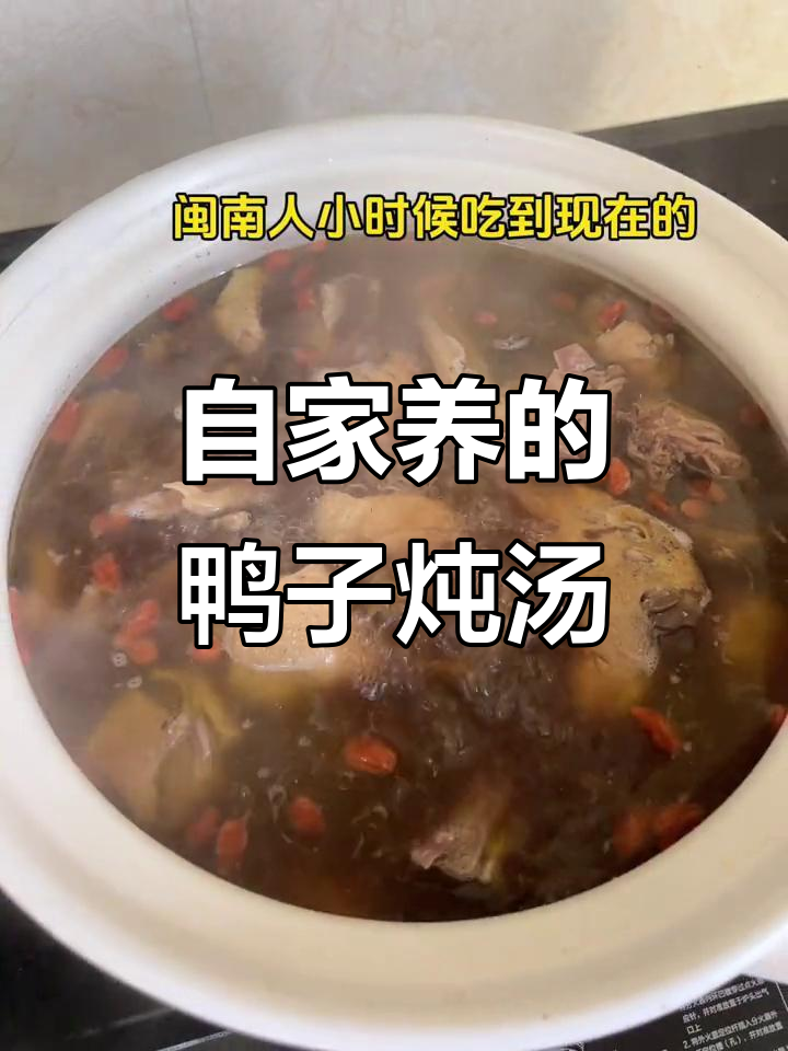 闽南传统番鸭汤,家常炖法大揭秘