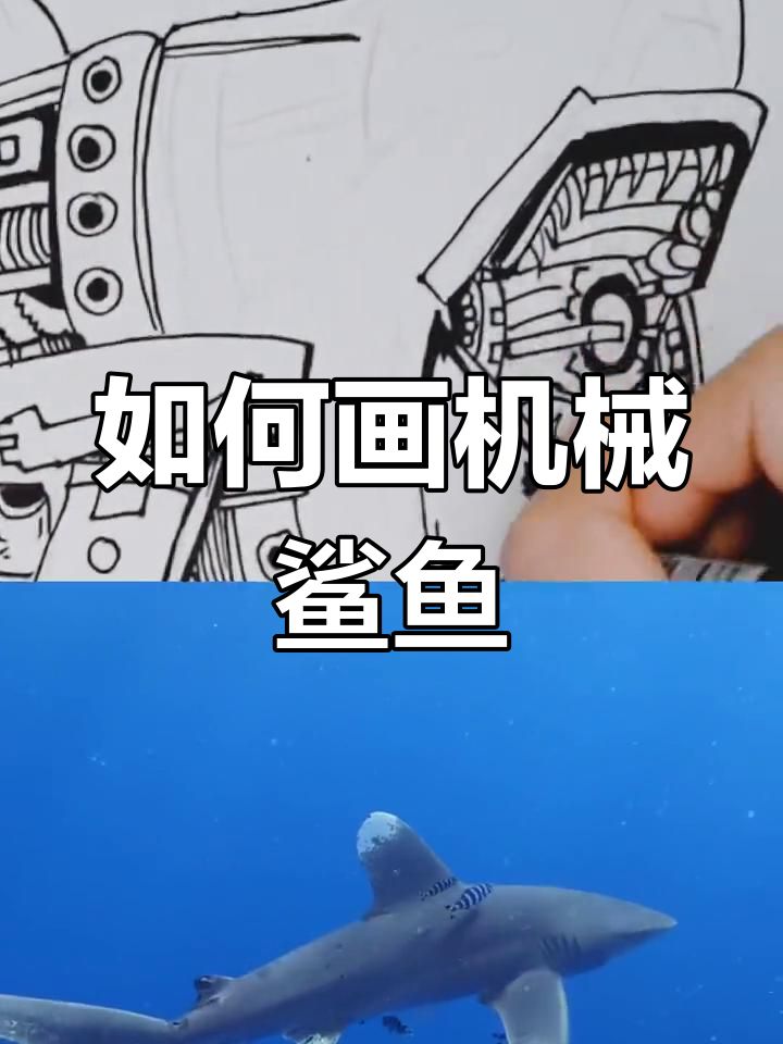 机械鲨鱼全身画法,简单步骤教你轻松搞定