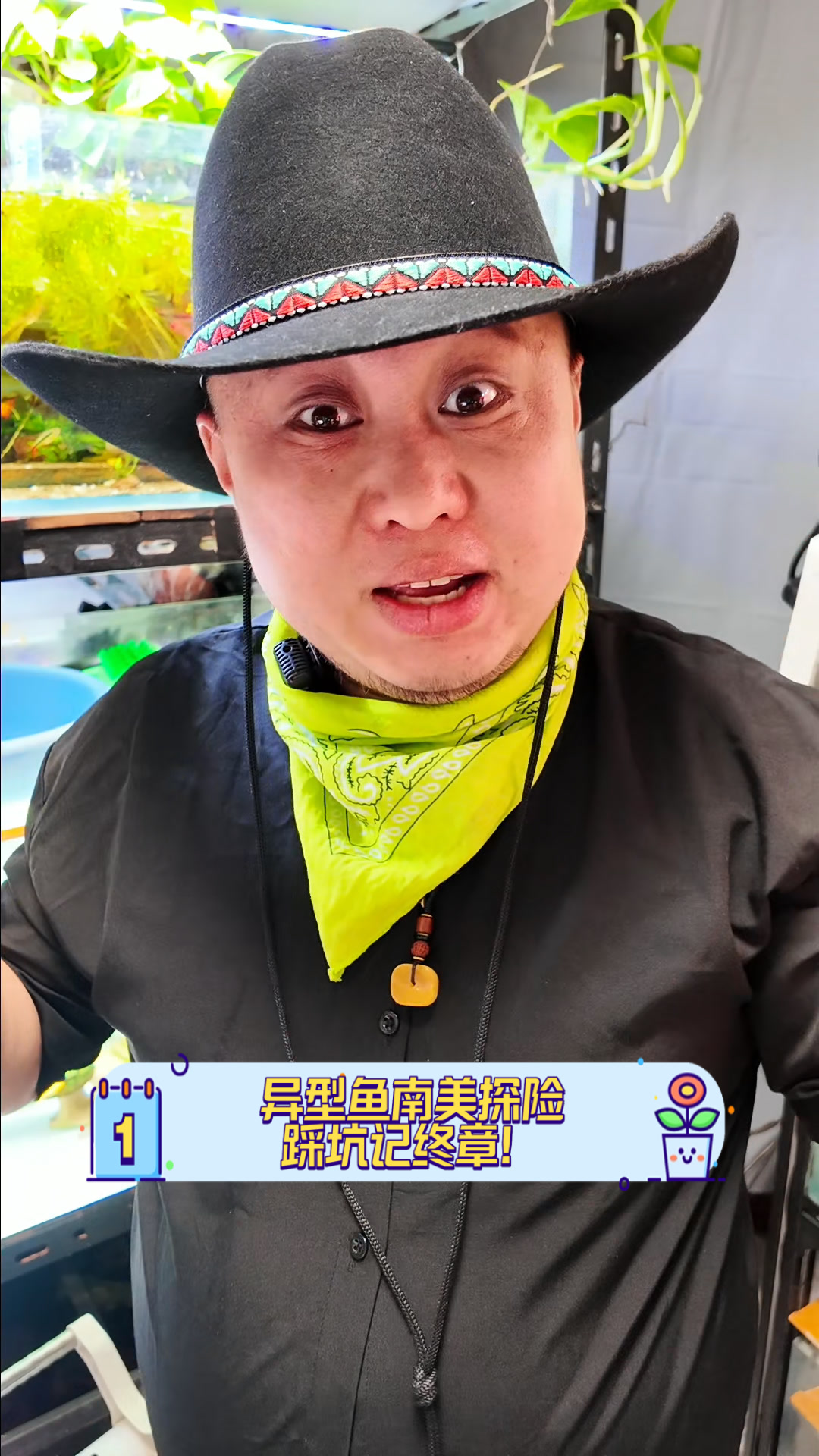 异型鱼南美探险,踩坑记终章!