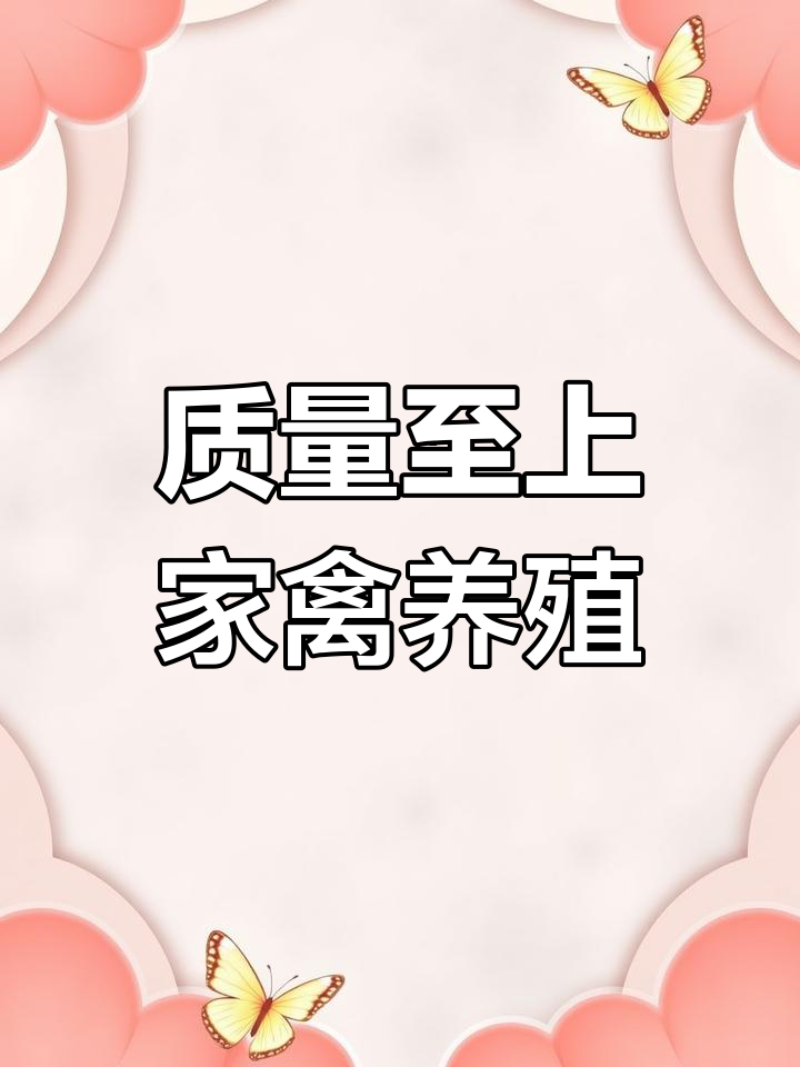 诚信经营,家禽养殖质量第一!实拍优质鸡鸭鹅产品