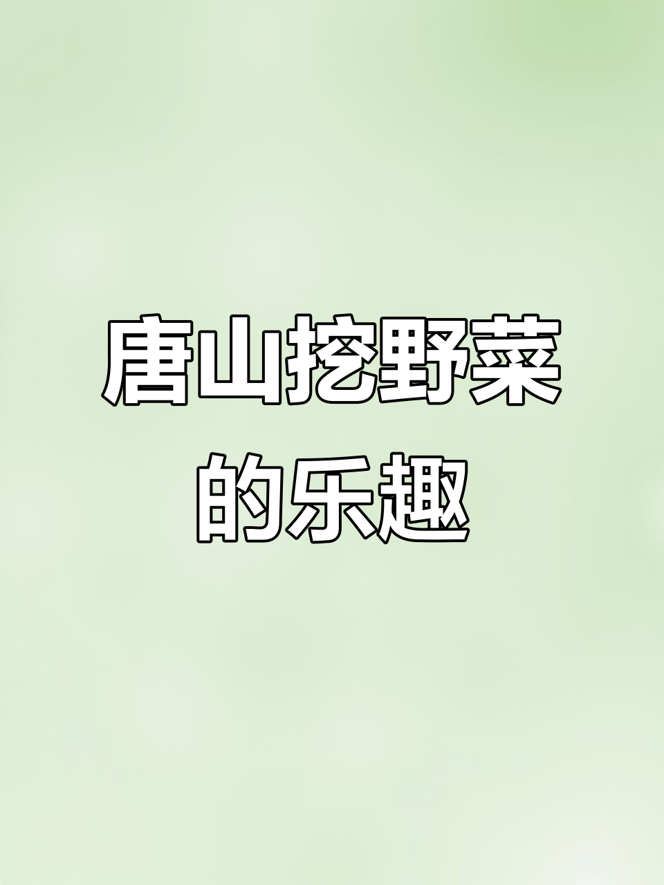 河北唐山野菜大丰收,苦碟子、荠菜一网打尽