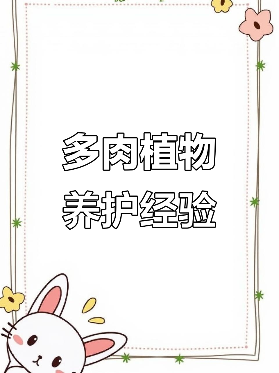 多肉植物养护技巧,轻松掌握浇水与光照管理