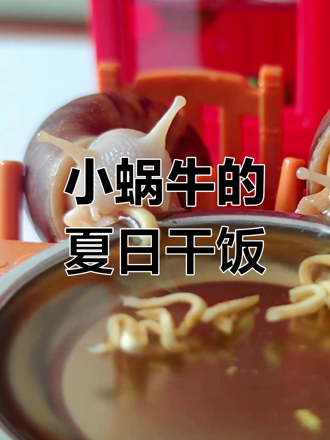 夏天来了,给小蜗牛喝点冰红茶解暑,竟然还吃起了方便面!