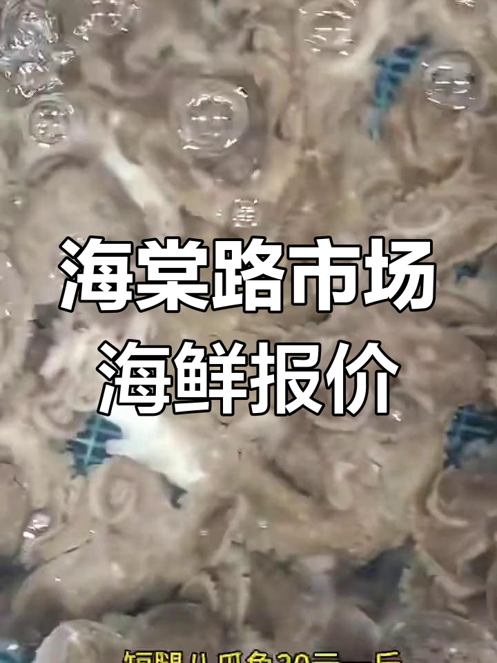 连云港海棠路市场海鲜价格大揭秘,2月20日最新参考价
