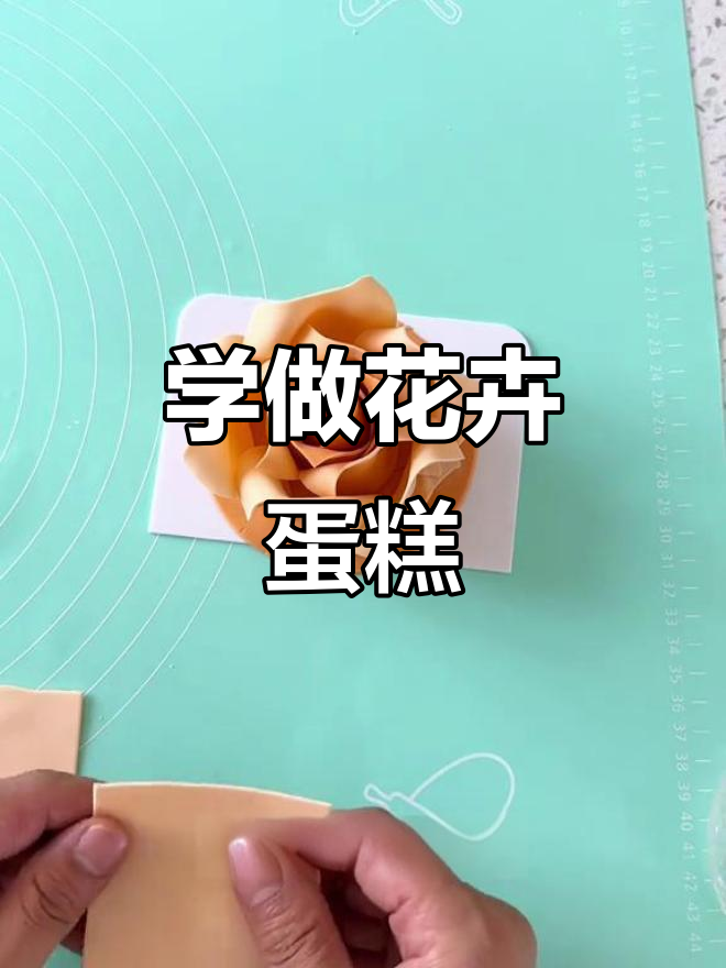 零基础学蛋糕裱花，花卉蛋糕制作全攻略