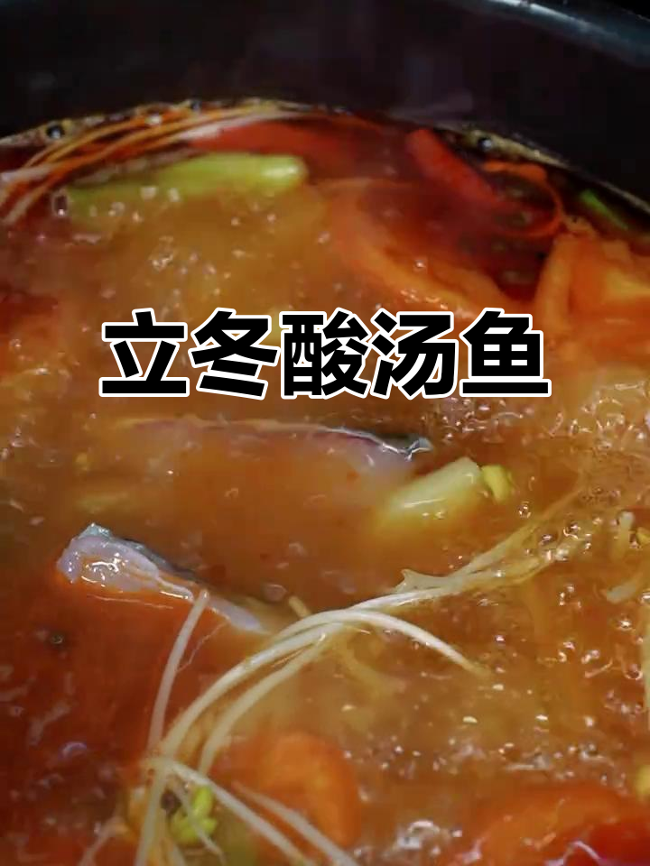 酸汤鱼，立冬必备！苗家传统美味让你暖心又开胃