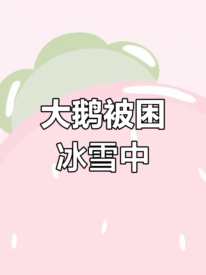 12月11日黑龙江雪地大鹅冻成冰雕获救