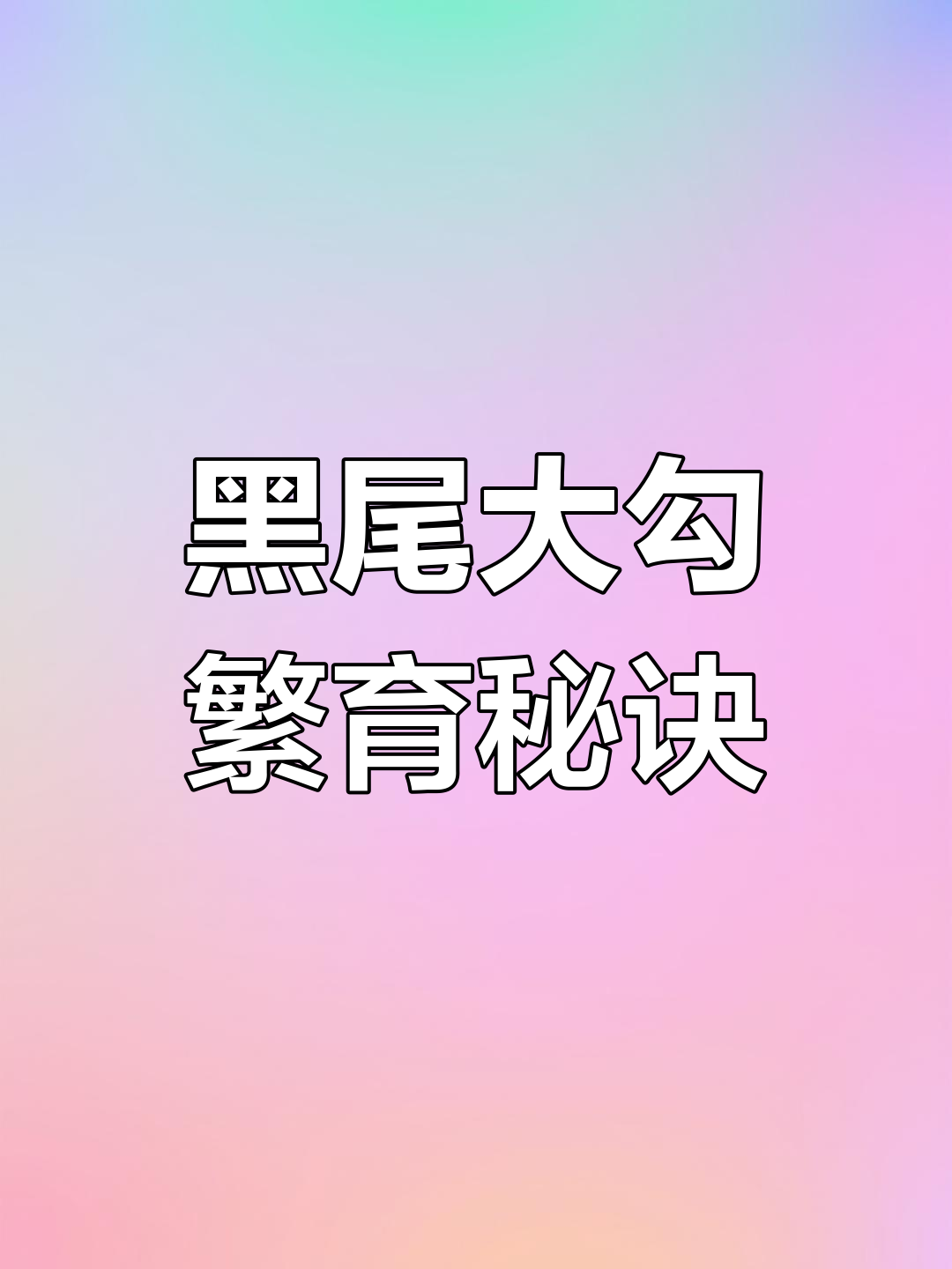 黑尾大勾繁殖秘籍,数量翻倍,错过可惜!