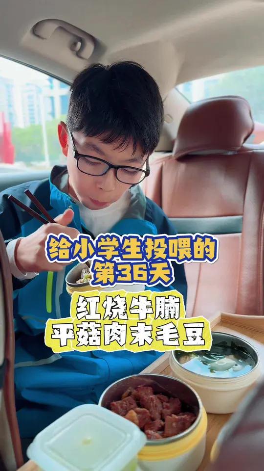 开学季,给小学生投喂第二期第36集!|今日食谱:红烧牛腩、平菇肉末毛豆、虾仁豆腐汤!美食分