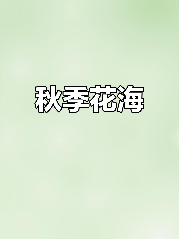 秋日宏城公园,鸡冠花盛开
