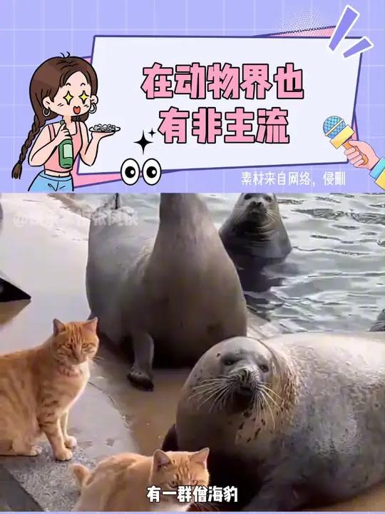 鳗鱼:我都被塞鼻孔里了!你还在关心海豹!