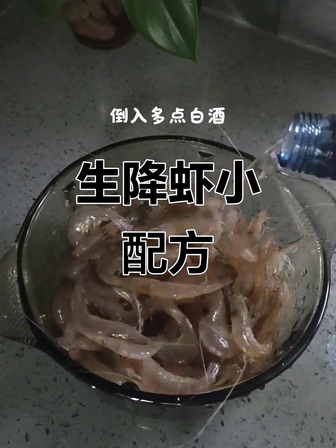 鲜活白虾配独特料汁，轻松做出比饭店还好吃的生降虾