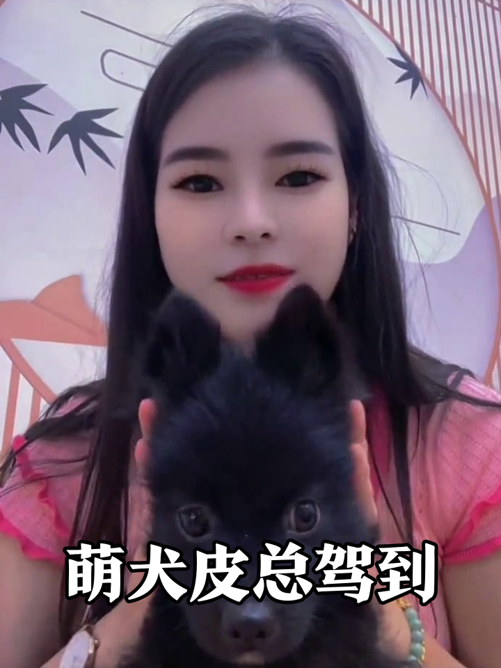 黑毛球成精了!龇牙摇尾萌到心化,rua脸时表情管理失败