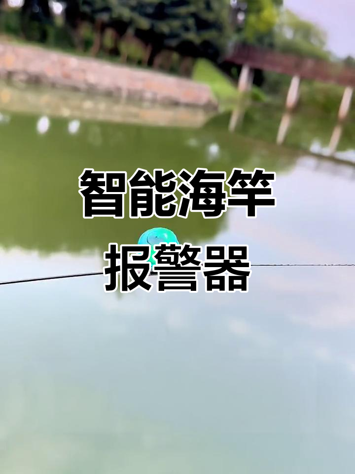 海竿智能报警器,声音灯光双提醒,钓鱼更轻松