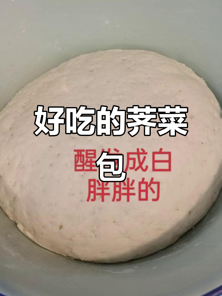 荠菜素馅包子,做法超简单又美味