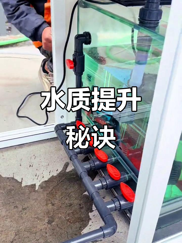 想要鱼缸水质好,底滤设计得巧妙!