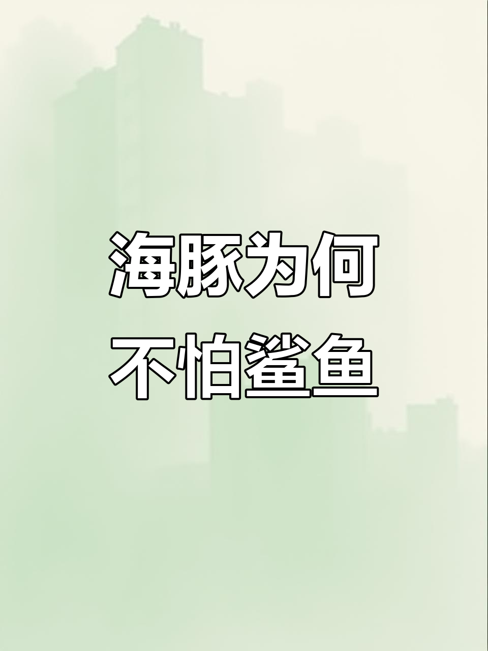 为什么海豚不怕鲨鱼?揭秘中华白海豚的粉色秘密