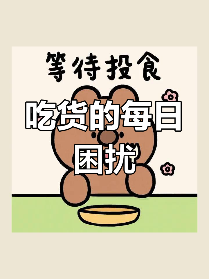 每天纠结吃什么?早餐、午餐、晚餐大揭秘!