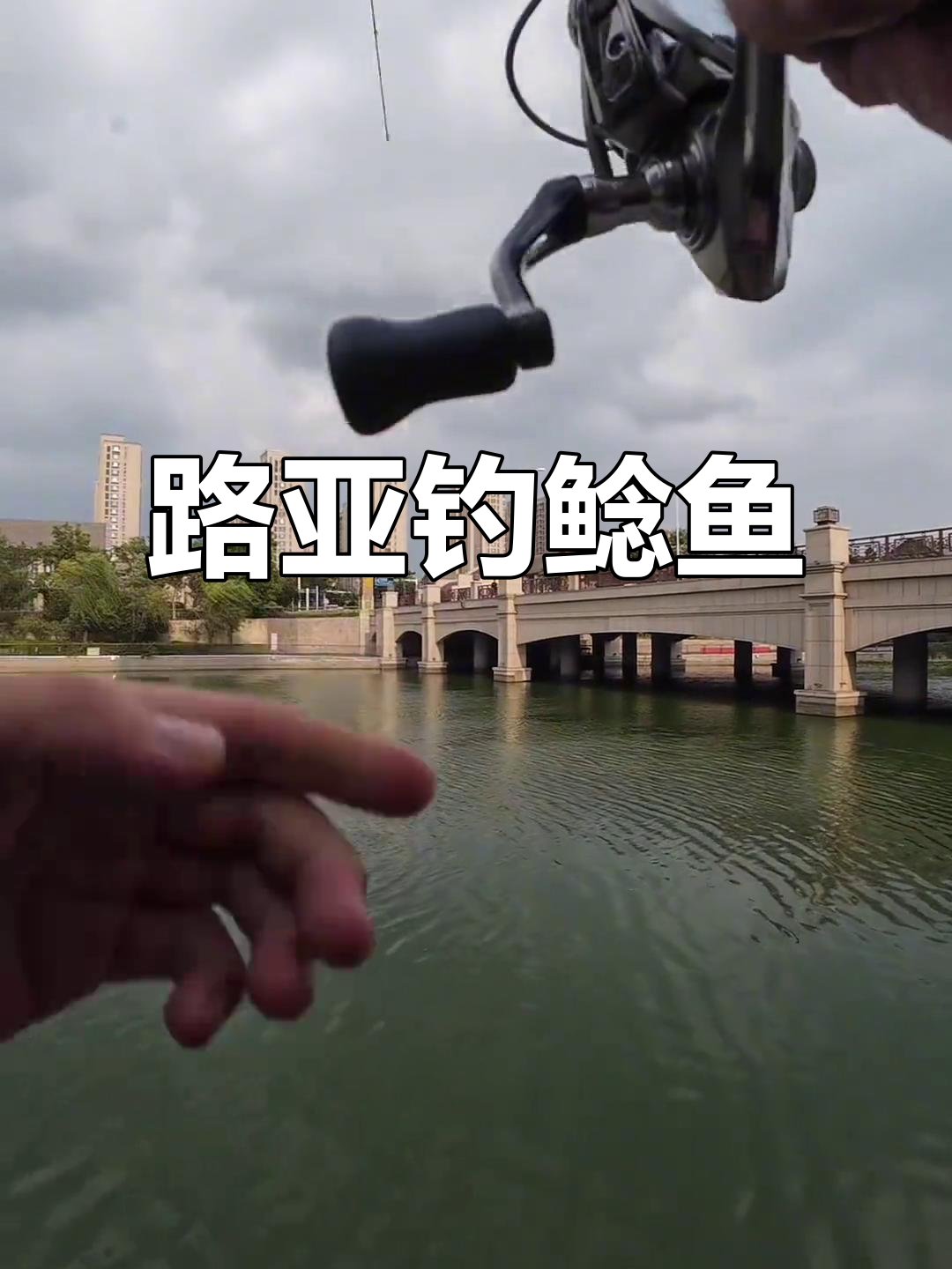 铅头钩路亚钓鲶鱼，墨水河小卡拉咪疯狂来袭