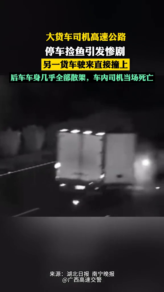 司机高速公路停车捡鱼引发惨剧!