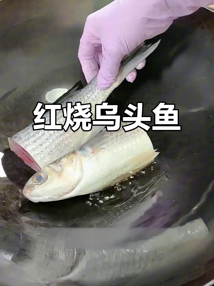 乌头鱼红烧做法,鲜香十足,米饭配不停!