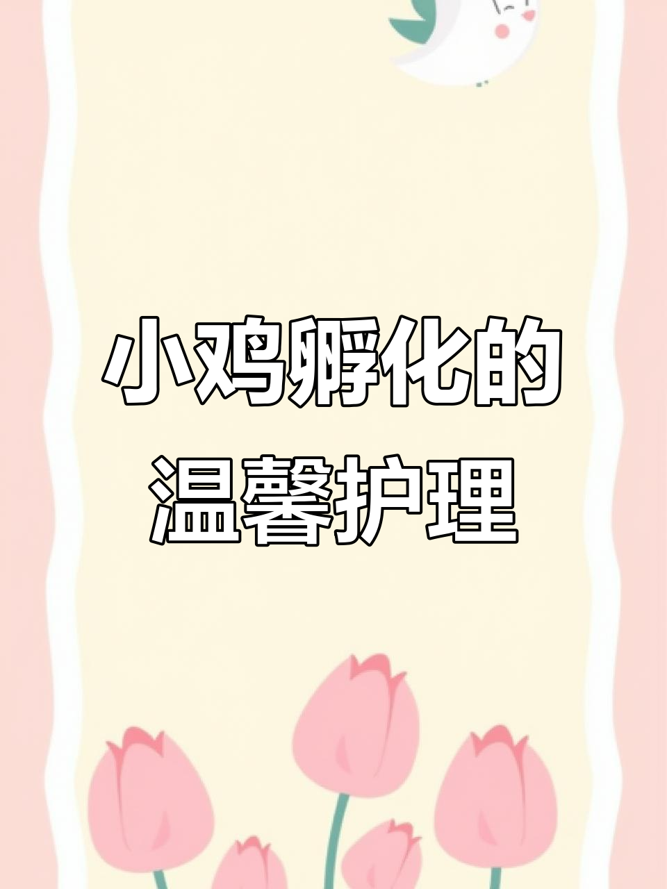 自制保温箱与饲料盒,小鸡孵化全过程大揭秘