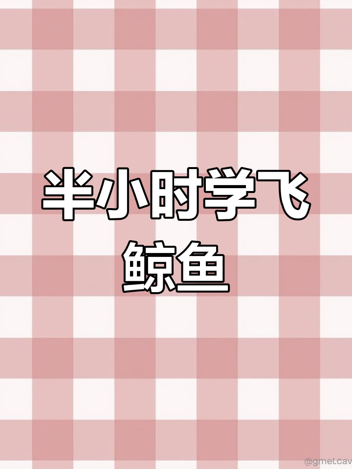 5.5米遥控飞行鲸鱼,半小时轻松学会操作技巧