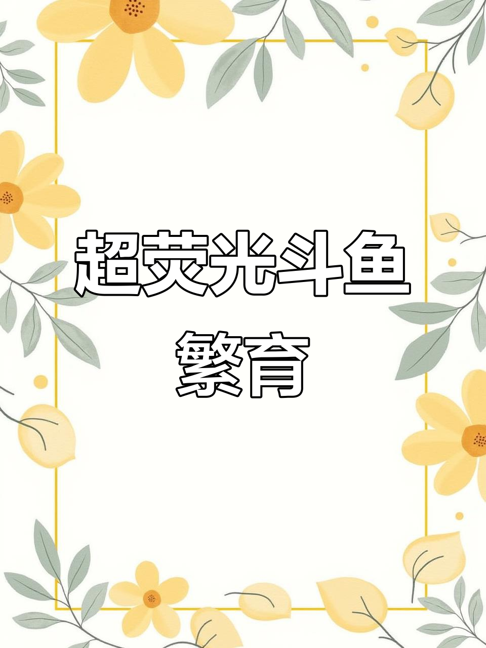 超级荧光斗鱼繁殖技术揭秘，色彩斑斓的普叉魅力