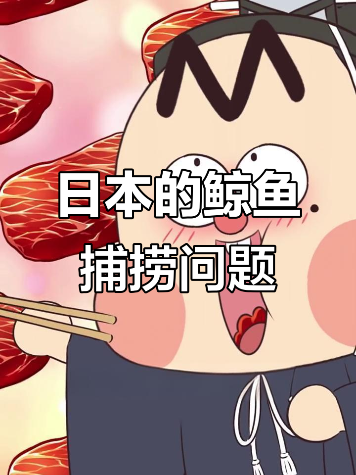 日本捕鲸历史与现状:鲸鱼肉真的值得吃吗?