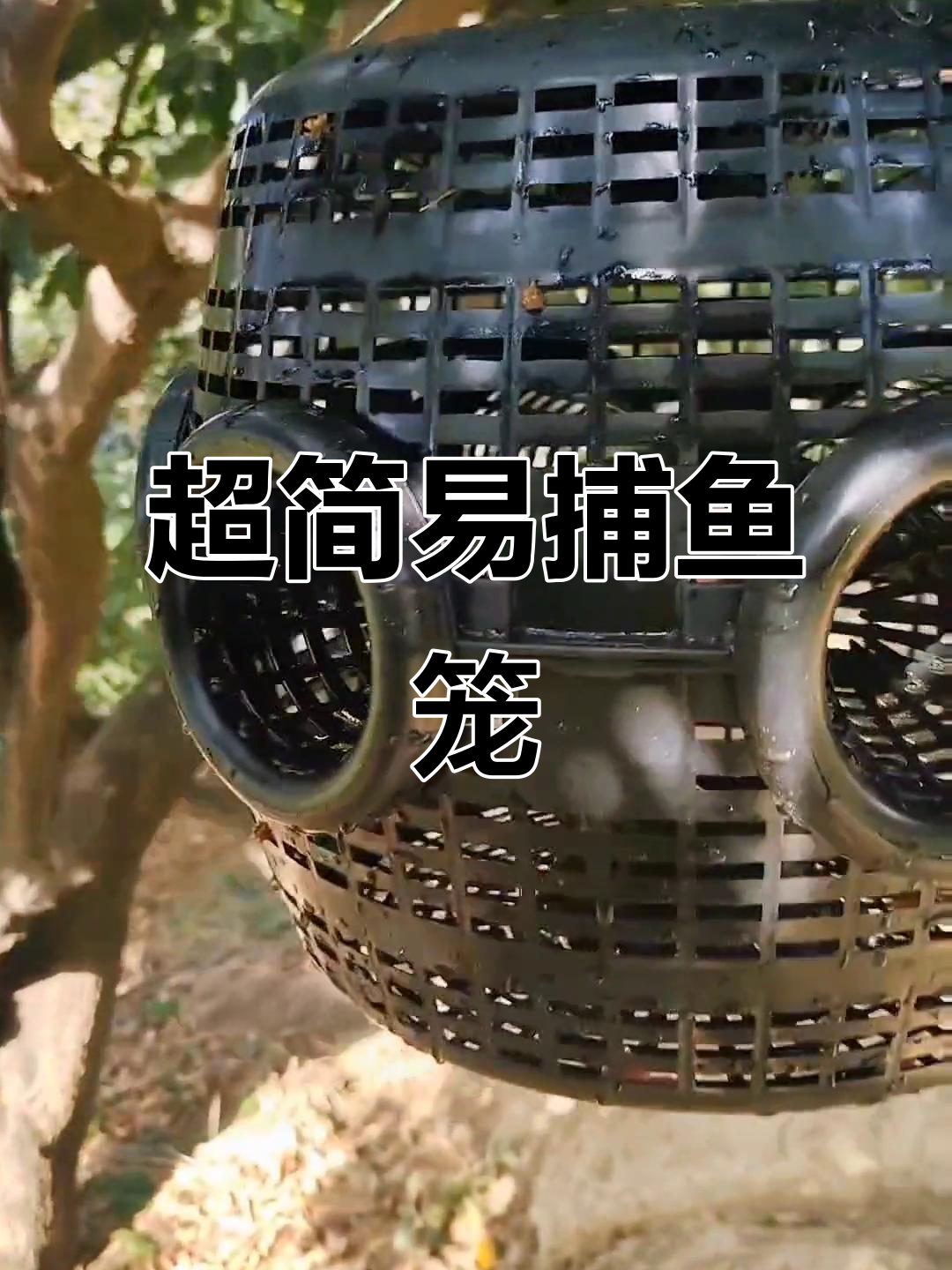 轻松抓泥鳅黄鳝,捕虾笼设计超简单