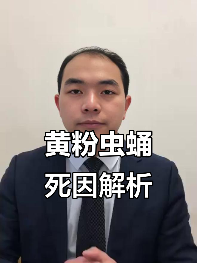 黄粉虫蛹发黑死亡原因分析,如何避免病害与机械伤害