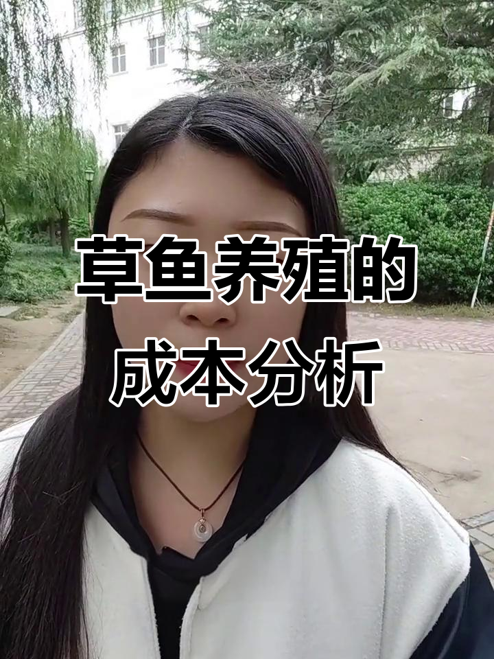养草鱼成本高,打工更轻松?养殖人揭秘利润与投入