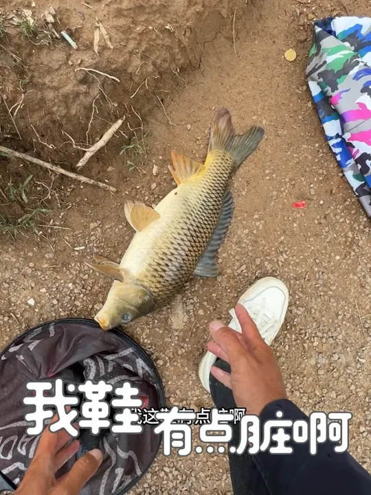 暴雨后守钓水库大鲤鱼，选对钓位真能有惊喜！