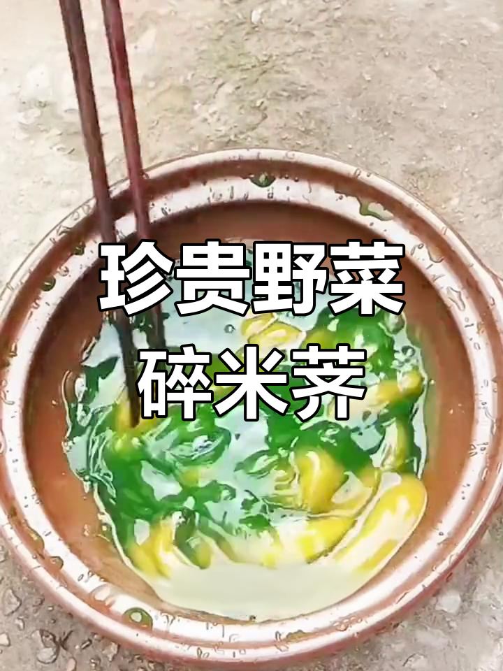 农村常见碎米荠,你了解吗?