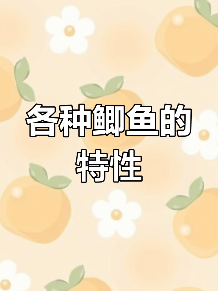 常见鲫鱼品种大揭秘,土鲫到彭泽鲫全解析
