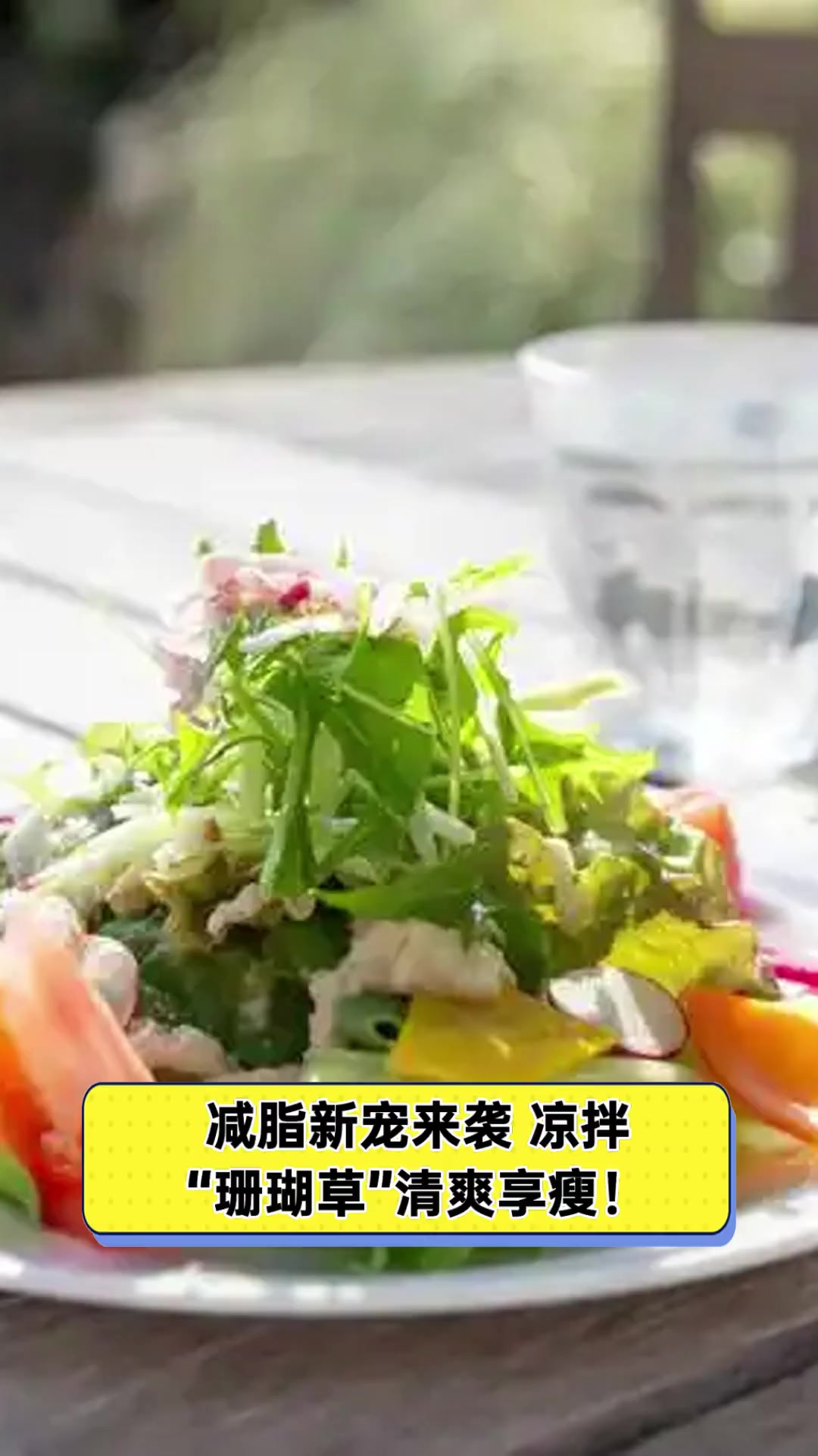 减脂新宠来袭,凉拌“珊瑚草”清爽享瘦!