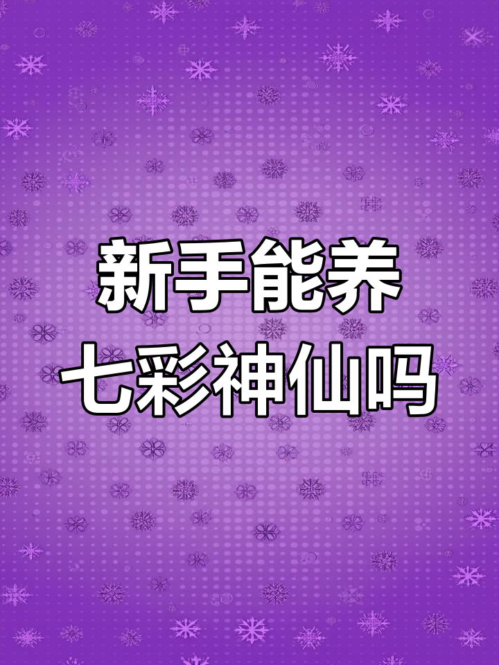 七彩神仙鱼适合新手养吗?掌握这些技巧轻松上手