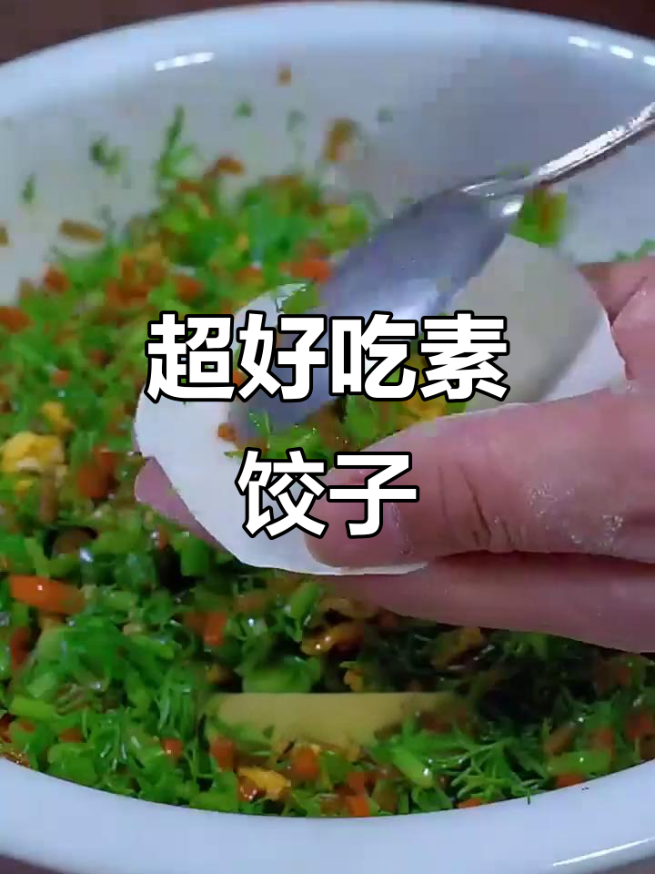 茴香饺子馅，鲜嫩不流水，做法超简单
