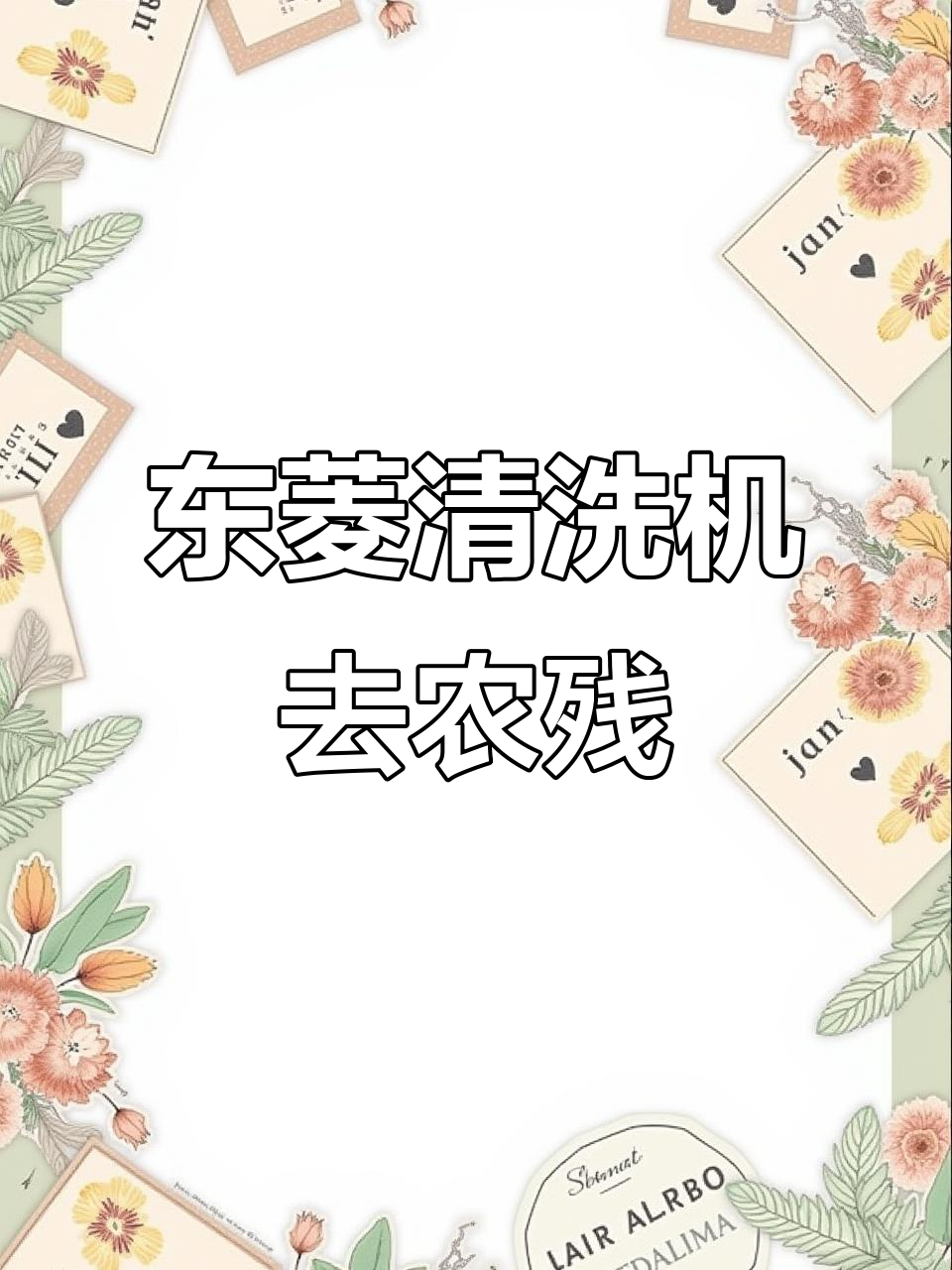 告别农残焦虑,东菱果蔬清洗机让你安心享受新鲜食材