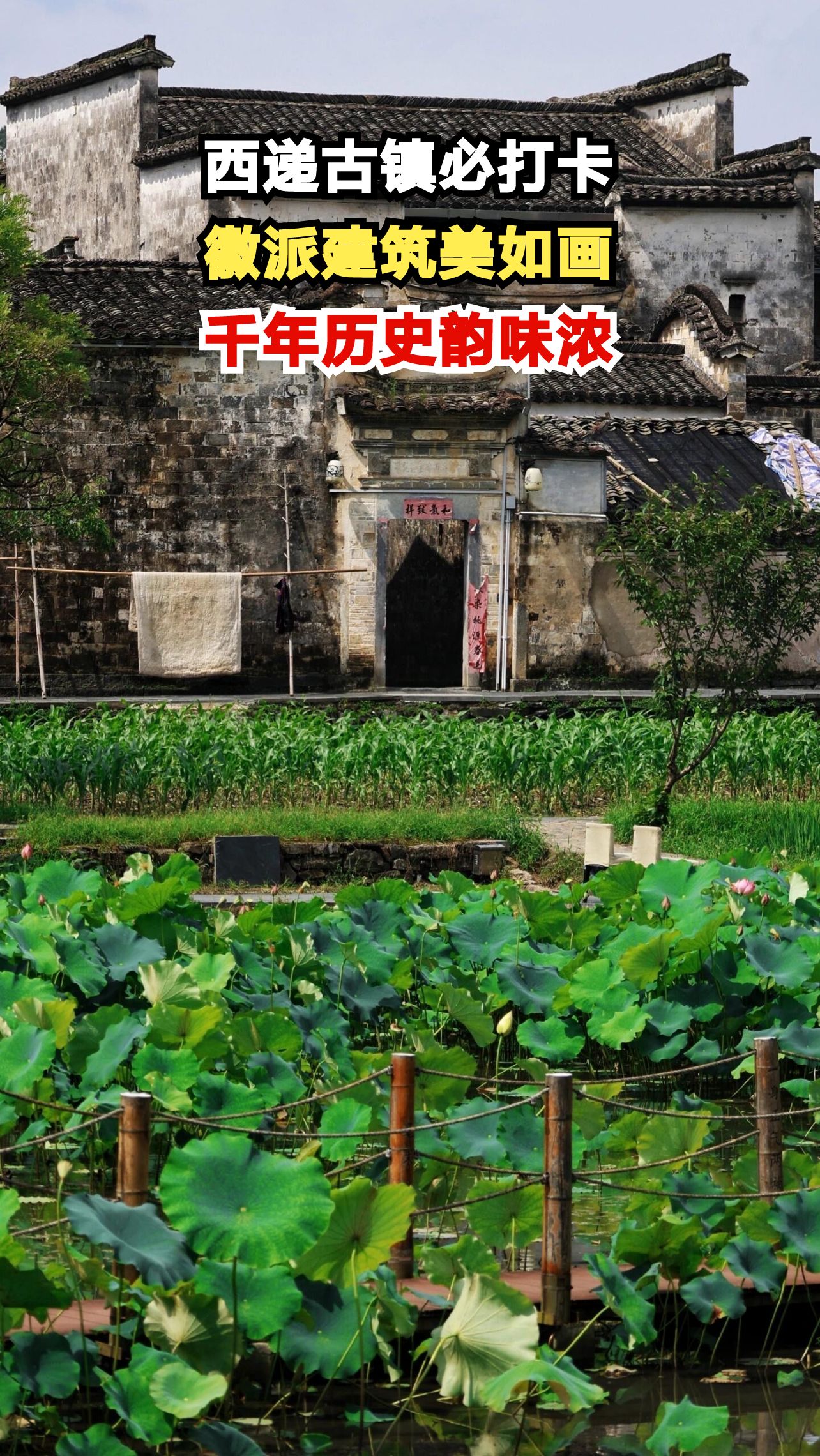 探秘西递古镇:徽派建筑与千年历史的完美融合