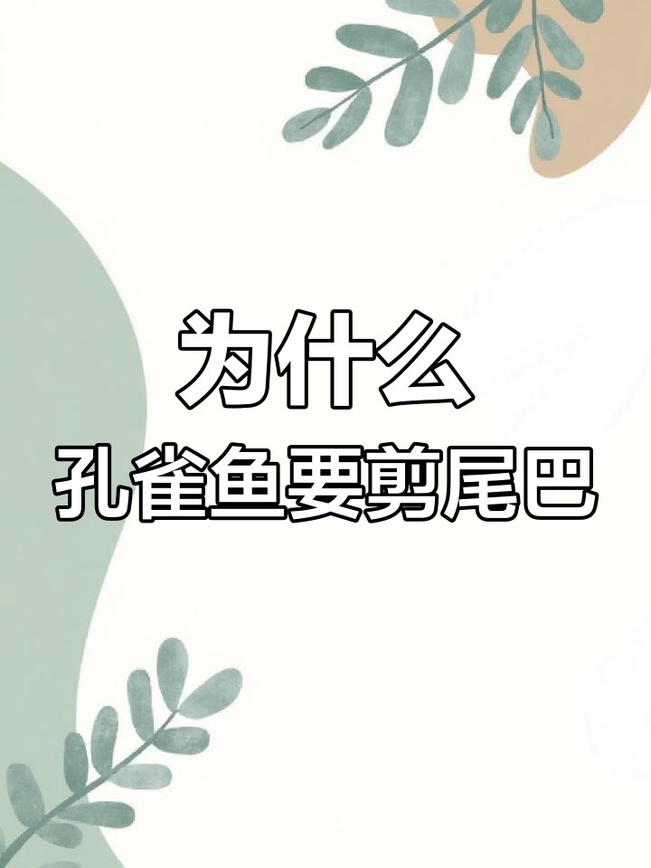 孔雀鱼剪尾的原因与操作技巧