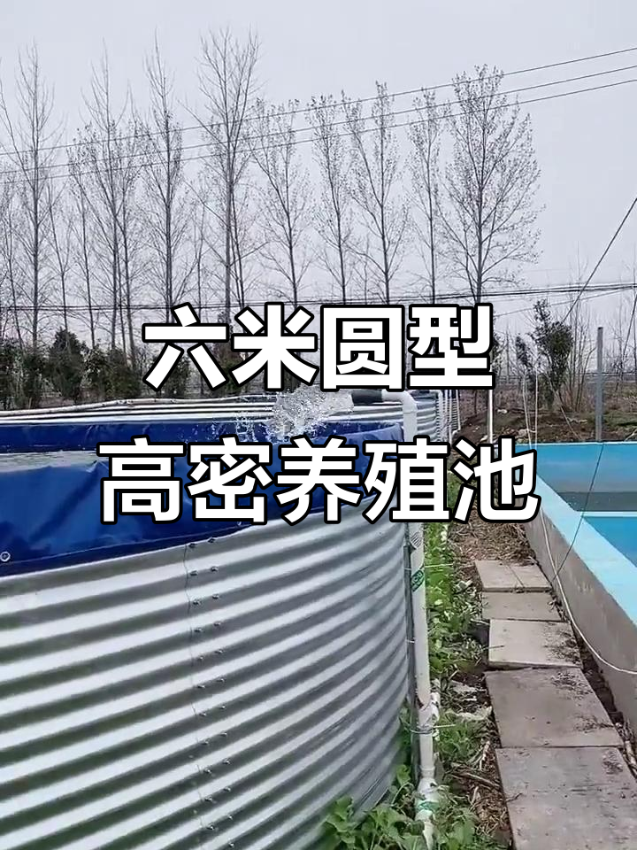 圆形高密度鱼池，六米直径可养千斤草鲤黄骨黑鱼