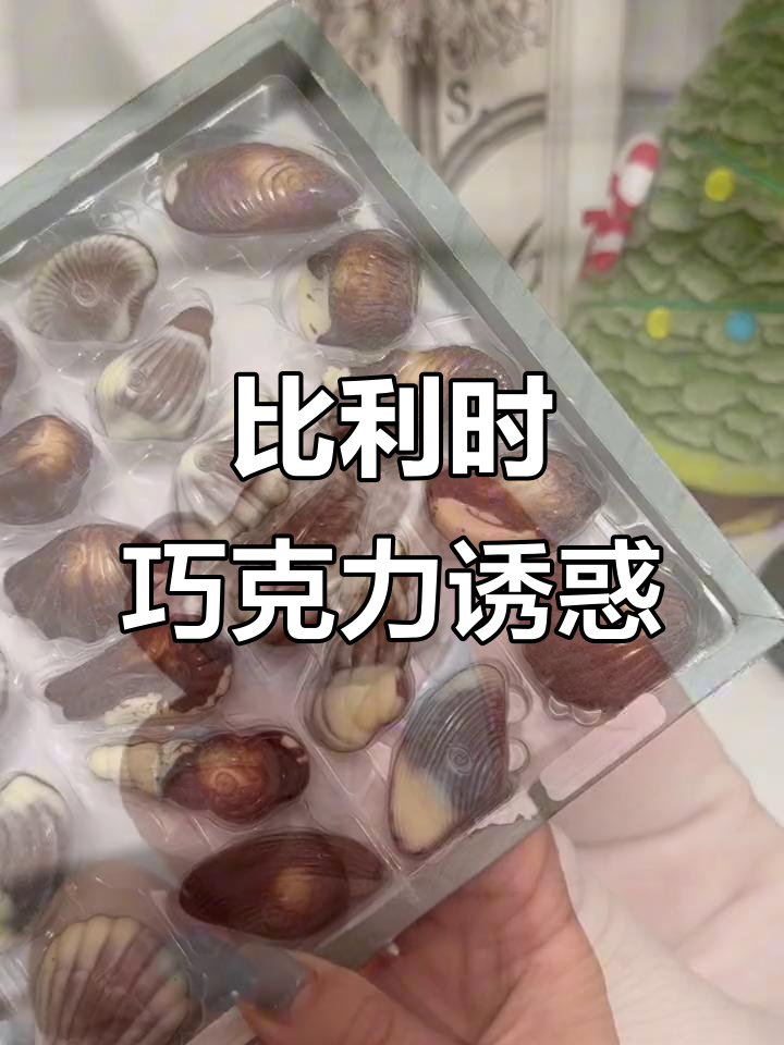 浓郁榛子与可可，比利时巧克力尽显丝滑口感！