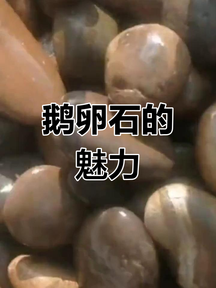 鹅卵石让园林更添韵味,水清景美,石头成就不凡景观