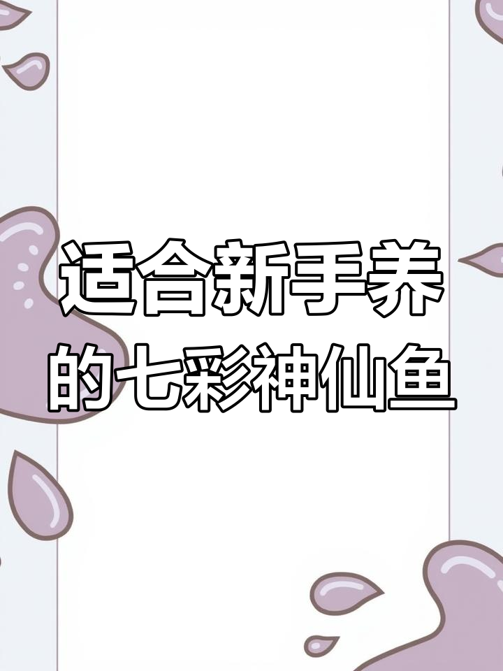 新手养七彩神仙鱼,哪些品种最容易上手?