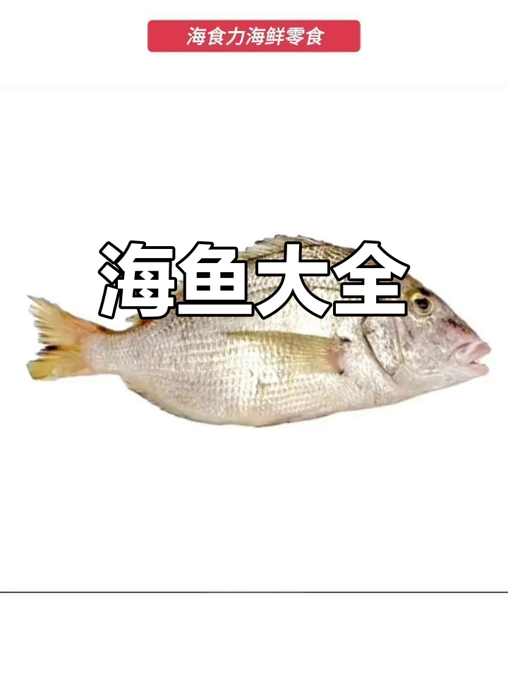 常见海鱼大揭秘,看看这些你都知道吗?
